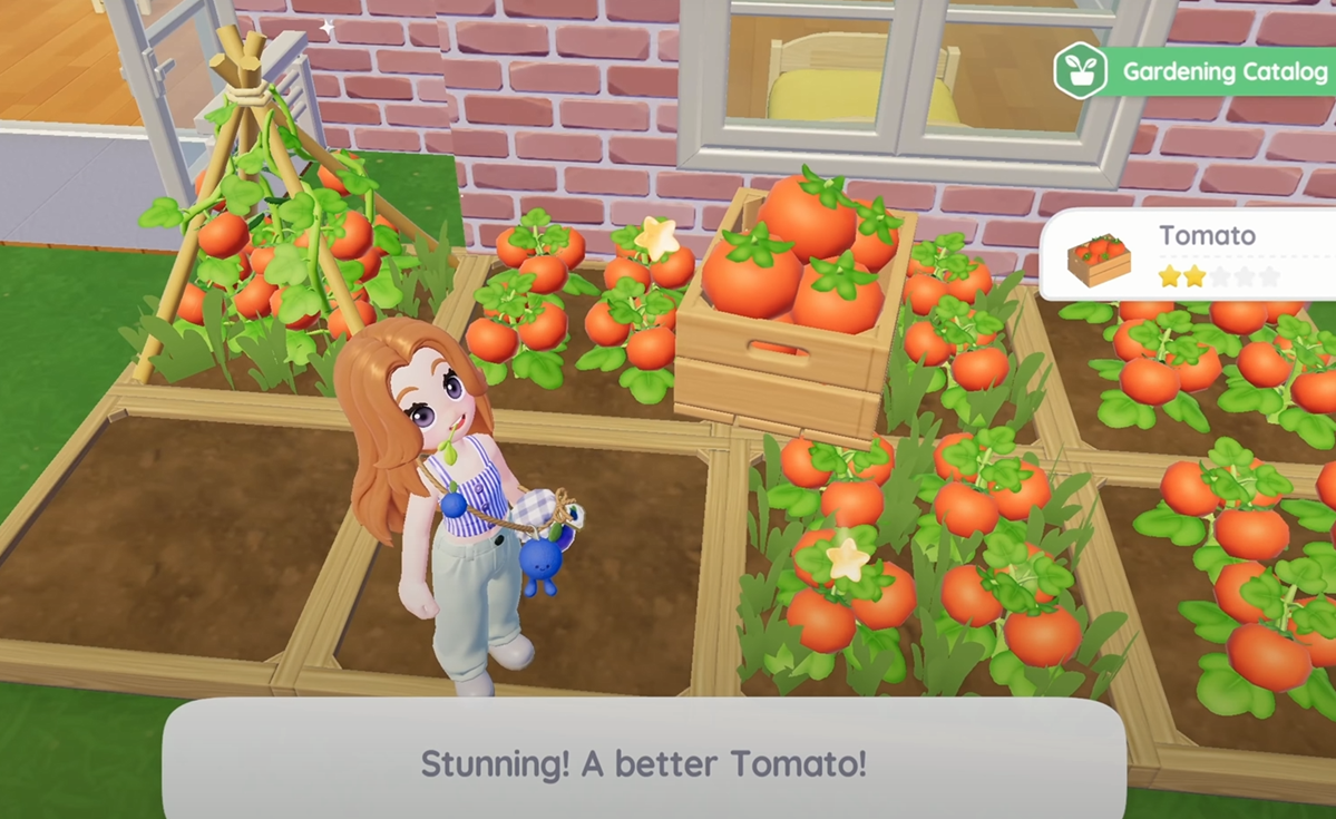 Heartopia F2P Life Farming Sim Tomato Planting